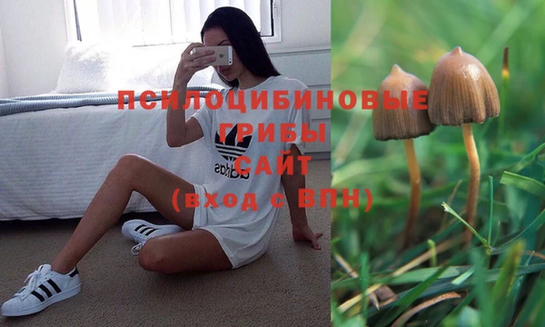 дмт Касимов