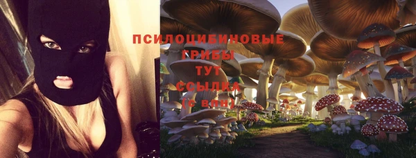 меф VHQ Рославль