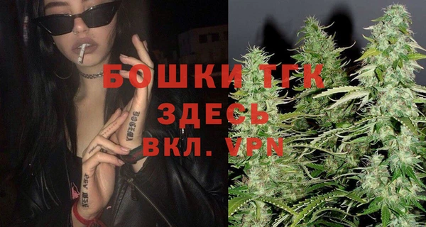 дмт Касимов