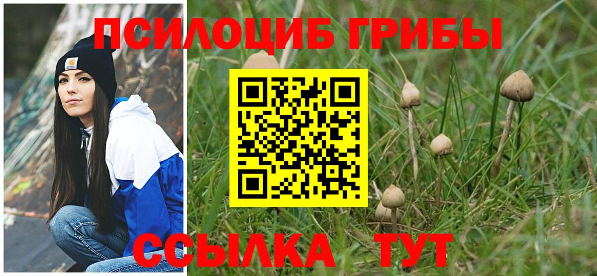 Галлюциногенные грибы ЛСД  Галлюциногенные грибы мицелий  Советск  Вход с VPN 